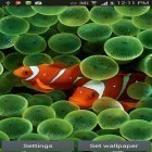 Кроме живых обоев на Андроид Geometric 3D HD, скачайте бесплатный apk заставки Aquarium by Seafoam.