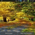 Кроме живых обоев на Андроид Fireflies by Live wallpaper HD, скачайте бесплатный apk заставки Autumn by Best wallpapers.