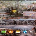 Кроме живых обоев на Андроид Dynamical ripples, скачайте бесплатный apk заставки Autumn landscape.