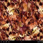Кроме живых обоев на Андроид Fish and bird: Love, скачайте бесплатный apk заставки Autumn leaves 3D.