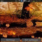 Кроме живых обоев на Андроид Launcher 3D, скачайте бесплатный apk заставки Autumn rain.