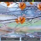 Кроме живых обоев на Андроид Weather by Apalon Apps, скачайте бесплатный apk заставки Autumn raindrops.