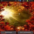 Кроме живых обоев на Андроид Daisies by Live wallpapers, скачайте бесплатный apk заставки Autumn sun.