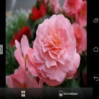 Кроме живых обоев на Андроид Fresh Leaves, скачайте бесплатный apk заставки Beautiful flowers.
