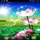 Кроме живых обоев на Андроид Purple flower, скачайте бесплатный apk заставки Beautiful lotus.