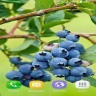 Кроме живых обоев на Андроид Sakura pro, скачайте бесплатный apk заставки Berries.