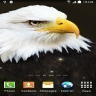Скачайте Birds by Blackbird wallpapers на Андроид, а также другие бесплатные живые обои для Motorola Flipside.