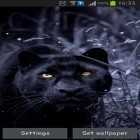 Кроме живых обоев на Андроид Nature by Live Wallpaper HQ, скачайте бесплатный apk заставки Black panther.