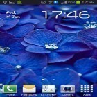 Кроме живых обоев на Андроид Rose clock by Mobile Masti Zone, скачайте бесплатный apk заставки Blue flowers.