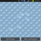 Кроме живых обоев на Андроид Birds by Pro Live Wallpapers, скачайте бесплатный apk заставки Bubble wrap.