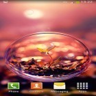 Кроме живых обоев на Андроид Neon flower by Dynamic Live Wallpapers, скачайте бесплатный apk заставки Bubbles.