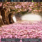Кроме живых обоев на Андроид Solar system HD deluxe edition, скачайте бесплатный apk заставки Cherry blossom by Creative factory wallpapers.