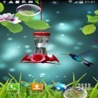 Кроме живых обоев на Андроид Flowers by Ultimate Live Wallpapers PRO, скачайте бесплатный apk заставки Colibri.
