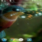 Кроме живых обоев на Андроид Funny bird, скачайте бесплатный apk заставки Colibri by Joseires.