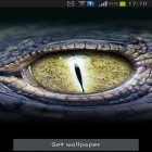 Кроме живых обоев на Андроид Tiny farm, скачайте бесплатный apk заставки Crocodile eyes.