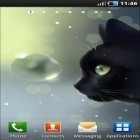 Кроме живых обоев на Андроид Shadow galaxy, скачайте бесплатный apk заставки Curious cat.