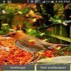 Кроме живых обоев на Андроид Christmas HD, скачайте бесплатный apk заставки Cute birds.