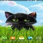 Кроме живых обоев на Андроид S4 Sunshine lotus, скачайте бесплатный apk заставки Cute kitten.