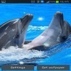 Кроме живых обоев на Андроид Poly Island, скачайте бесплатный apk заставки Dolphins.