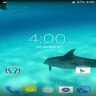 Кроме живых обоев на Андроид Halloween, скачайте бесплатный apk заставки Dolphins HD.