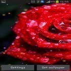 Кроме живых обоев на Андроид Neon 2 HD, скачайте бесплатный apk заставки Drops and roses.