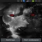 Кроме живых обоев на Андроид Space colony, скачайте бесплатный apk заставки Eyes lion.