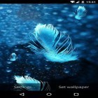 Кроме живых обоев на Андроид Dark black, скачайте бесплатный apk заставки Feather: Bubble.