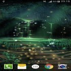 Кроме живых обоев на Андроид Moon light, скачайте бесплатный apk заставки Fireflies by Live wallpaper HD.