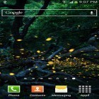 Кроме живых обоев на Андроид Koi, скачайте бесплатный apk заставки Fireflies by Top live wallpapers hq.