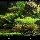 Кроме живых обоев на Андроид Snowfall by Divarc group, скачайте бесплатный apk заставки Fish aquarium 3D.
