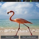 Кроме живых обоев на Андроид Fountain 3D, скачайте бесплатный apk заставки Flamingo.