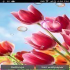 Кроме живых обоев на Андроид Beautiful lotus, скачайте бесплатный apk заставки Flowers 2015.