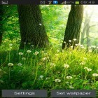 Кроме живых обоев на Андроид Blue skies, скачайте бесплатный apk заставки Forest by Live wallpaper hq.