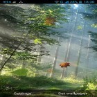 Кроме живых обоев на Андроид Tropical island 3D, скачайте бесплатный apk заставки Forest by Pro live wallpapers.