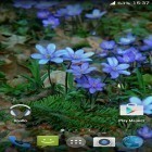 Кроме живых обоев на Андроид Wallpaper with clock, скачайте бесплатный apk заставки Forest flowers.