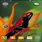 Кроме живых обоев на Андроид Weather, скачайте бесплатный apk заставки Frogs: shake and change.