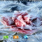 Кроме живых обоев на Андроид Autumn HD by BlackBird Wallpapers, скачайте бесплатный apk заставки Frozen flowers.