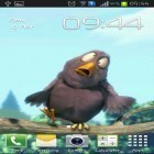 Кроме живых обоев на Андроид Touhou Cirno, скачайте бесплатный apk заставки Funny bird.