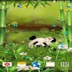 Кроме живых обоев на Андроид Autumn, скачайте бесплатный apk заставки Funny panda.
