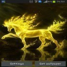 Кроме живых обоев на Андроид I love you by Live Wallpapers Ultra, скачайте бесплатный apk заставки Golden horse.