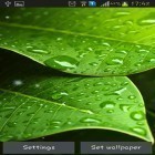 Кроме живых обоев на Андроид Next Nexus pro, скачайте бесплатный apk заставки Green leaves.