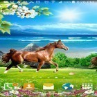 Кроме живых обоев на Андроид Spring greens, скачайте бесплатный apk заставки Horses by Villehugh.