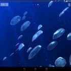 Кроме живых обоев на Андроид Magic heart, скачайте бесплатный apk заставки Jellyfishes 3D.