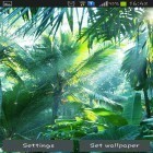 Кроме живых обоев на Андроид Swans by SweetMood, скачайте бесплатный apk заставки Jungle.