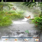 Кроме живых обоев на Андроид Tropical night by Amax LWPS, скачайте бесплатный apk заставки Jungle by Happy.