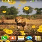 Кроме живых обоев на Андроид Sweets, скачайте бесплатный apk заставки Lion by Live Wallpapers Free.