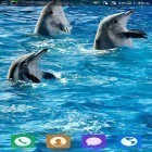 Кроме живых обоев на Андроид 3D Waterfall pro, скачайте бесплатный apk заставки Lovely dolphin.