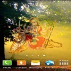 Кроме живых обоев на Андроид Dynamical ripples, скачайте бесплатный apk заставки Magic Durga & temple.