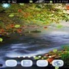 Кроме живых обоев на Андроид Weather by Apalon Apps, скачайте бесплатный apk заставки Magic nature.