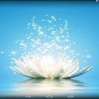 Кроме живых обоев на Андроид Galaxy pack, скачайте бесплатный apk заставки Magic water lilies.